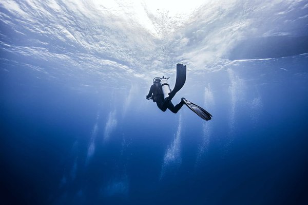 What are the budget options for scuba diving or sea activities on the Cornwall coast?